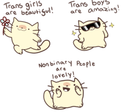 honeywifee:trans positivity cat! 