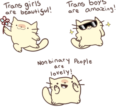 honeywifee:trans positivity cat! 