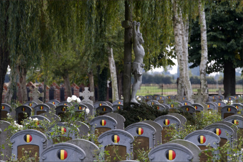 To all the brave Belgian men that died so i could be freeDank uMerciThank you