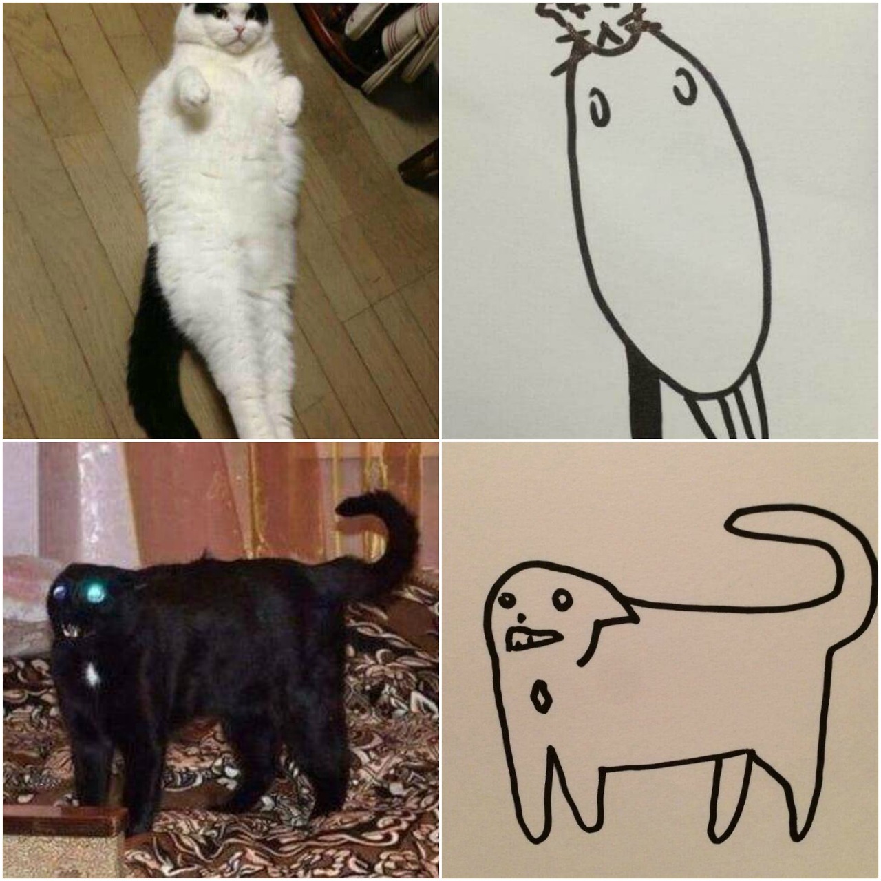 thenatsdorf: (via poorlydrawcat)