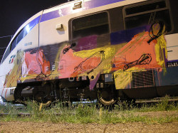 ERO [train - Italy]