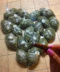 yo420plug:  reblog to receive love