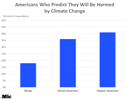 micdotcom: Why are white people less concerned about climate change? A report by the Public Religion