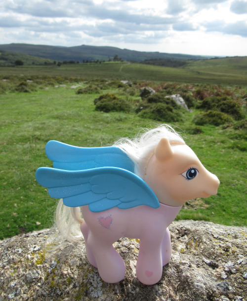 travelling-my-little-pony: Star Catcher (a bubble bath version) is posing on a granite rock.On Dartm