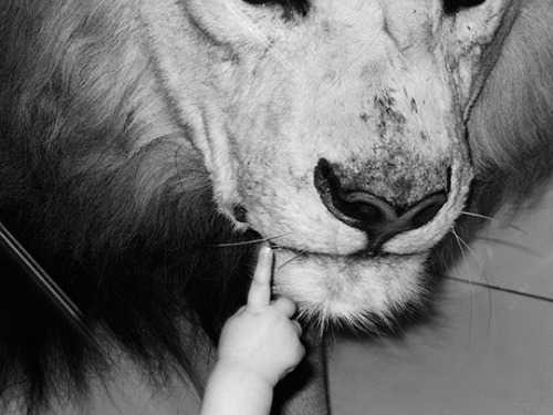softpyramid: Sasha MaricUntitled from Good Mother and Father2012