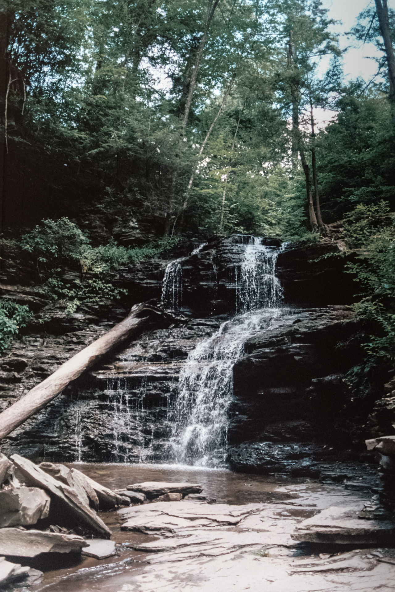 kellyelainesmith:  just some 35mm from Rickett’s Glen this July with @shitjimmyshoots