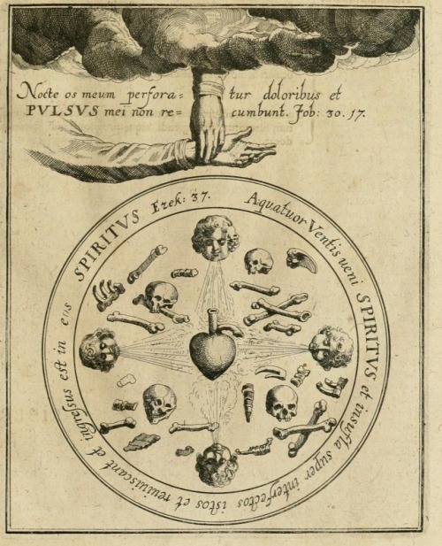 theworldofalchemy - Taken from Integrum morborum mysterium...