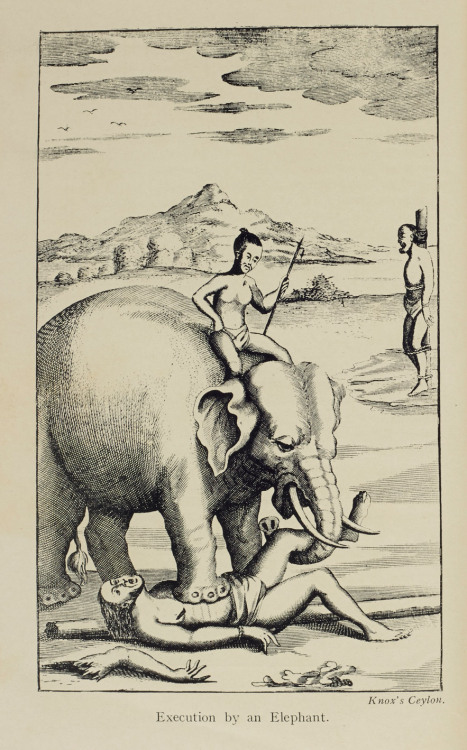 Execution by an Elephant&hellip; a rather grizzly end for criminals in Ceylon (modern-day Sri La