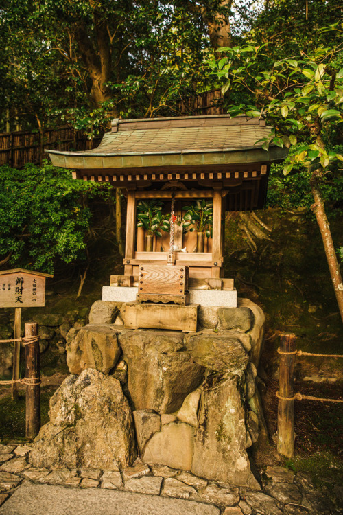 Thursday 21st September 2017. 17:00 Kyoto Japan.Autumn is definitely on it’s way in Kyoto. The tempe