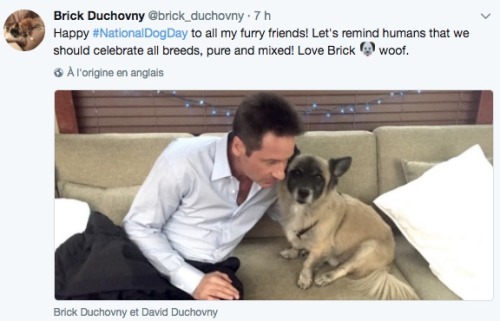 justholdinghandsok: All of this dog fuckery needed its own post. To be continued (hopefully!)