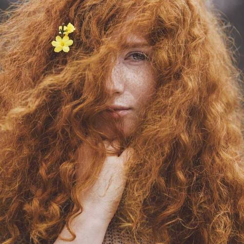 ziomantaz: Curly red hair and a flower…