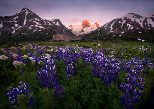 awkwardsituationist:  photos by marc adamus along the west coast of north america, from california and washington state up to british columbia and alaska. 
