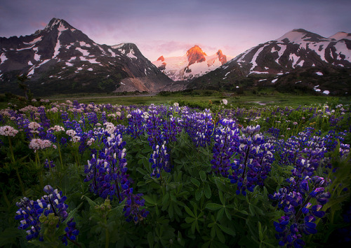 awkwardsituationist:  photos by marc adamus along the west coast of north america, from california and washington state up to british columbia and alaska.