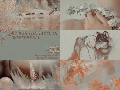 solaskoroleva:Sansa Month 2022: day 3 ❈ ｢ snow ｣ “ pure world, Sansa thought. I do not belong here. 