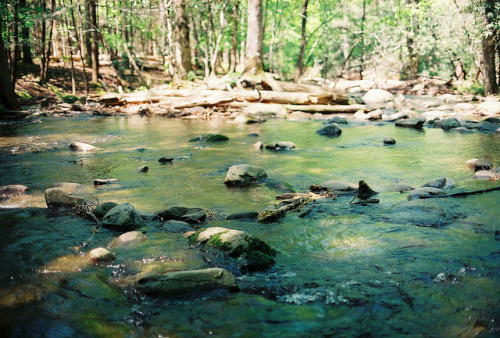 turbinis:Down by the River by hcolin on Flickr.