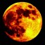 ladymoonburn