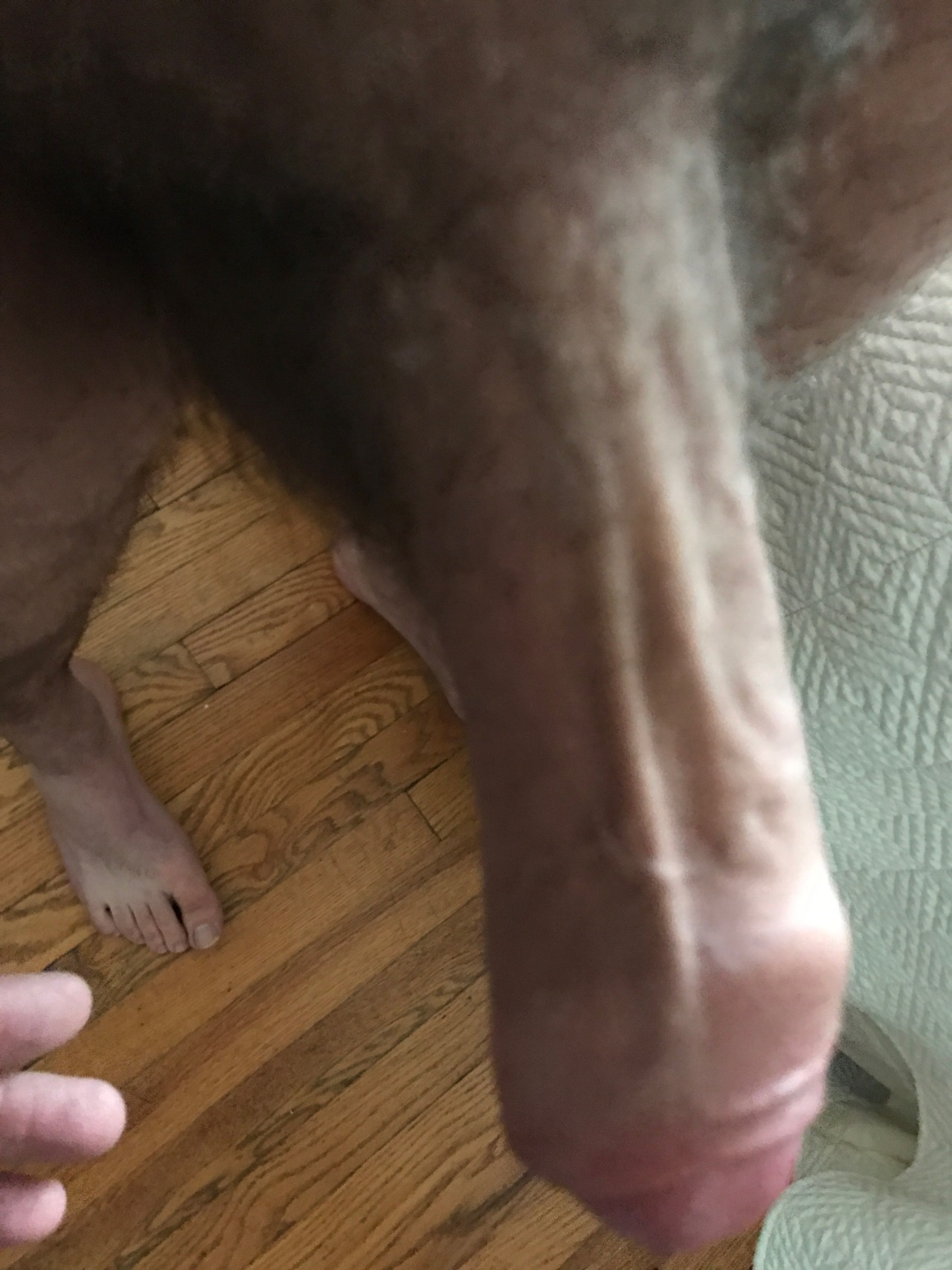 gloryholecam:  The first boy of the day and probably the most fun. Young otter-y
