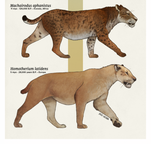 paleoart:Evolution Series: The Cat UprisingToday, cats all but rule the world from our living chairs