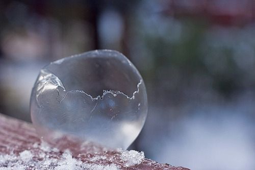 straightgrinch:  IF YOU DIDNT KNOW THAT BUBBLES LOOK REALLY COOL WHEN THEY FREEZE NOW YOU KNOW     ~mind is blown~