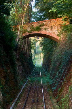  plasmatics: Road ~ By Margo Rita » 