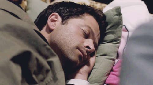 tenoko1: moosamuel: Team Free Will Team Needs Sleep