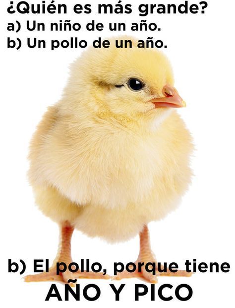 tretente:  El pollo gana