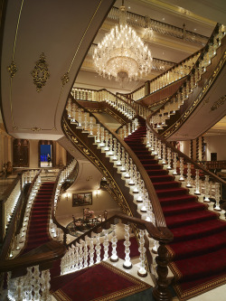 shoggoths-away:  adventurotica:  milestaylorcosplay:  #WHAT DO YOU MEAN TOO MANY STAIRS#THIS IS THE RIGHT AMOUNT OF STAIRS AND BALCONIES AND LEVELS  SWORDFIGHT  CHANDELIER SWINGING YES 