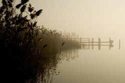 johnnypanessa:  The Forge River. Mastic, Long Island. 