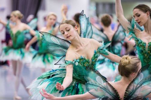dancingwithbelugawhales:Members of the Australian Ballet in (beautifully) costumed rehearsals for Da