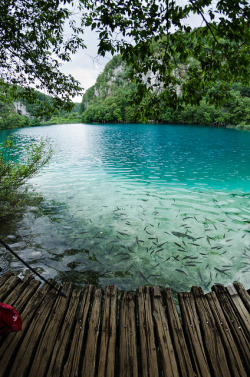 idealizable:  Plitvice lake by suazo3d on