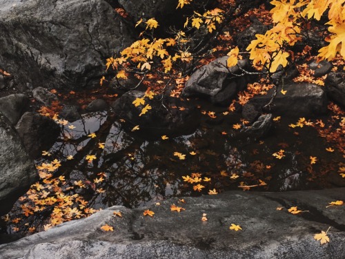 iwokeupthisway:  Prospect, Oregon. 