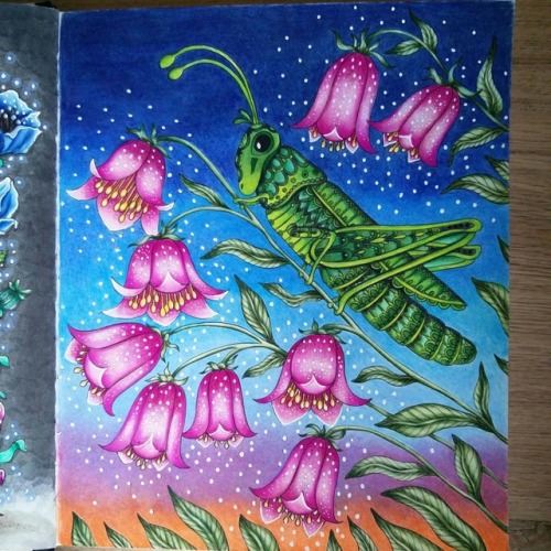 2 more pages finished, from Summernight coloring book.
