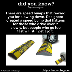 did-you-kno:  There are speed bumps that