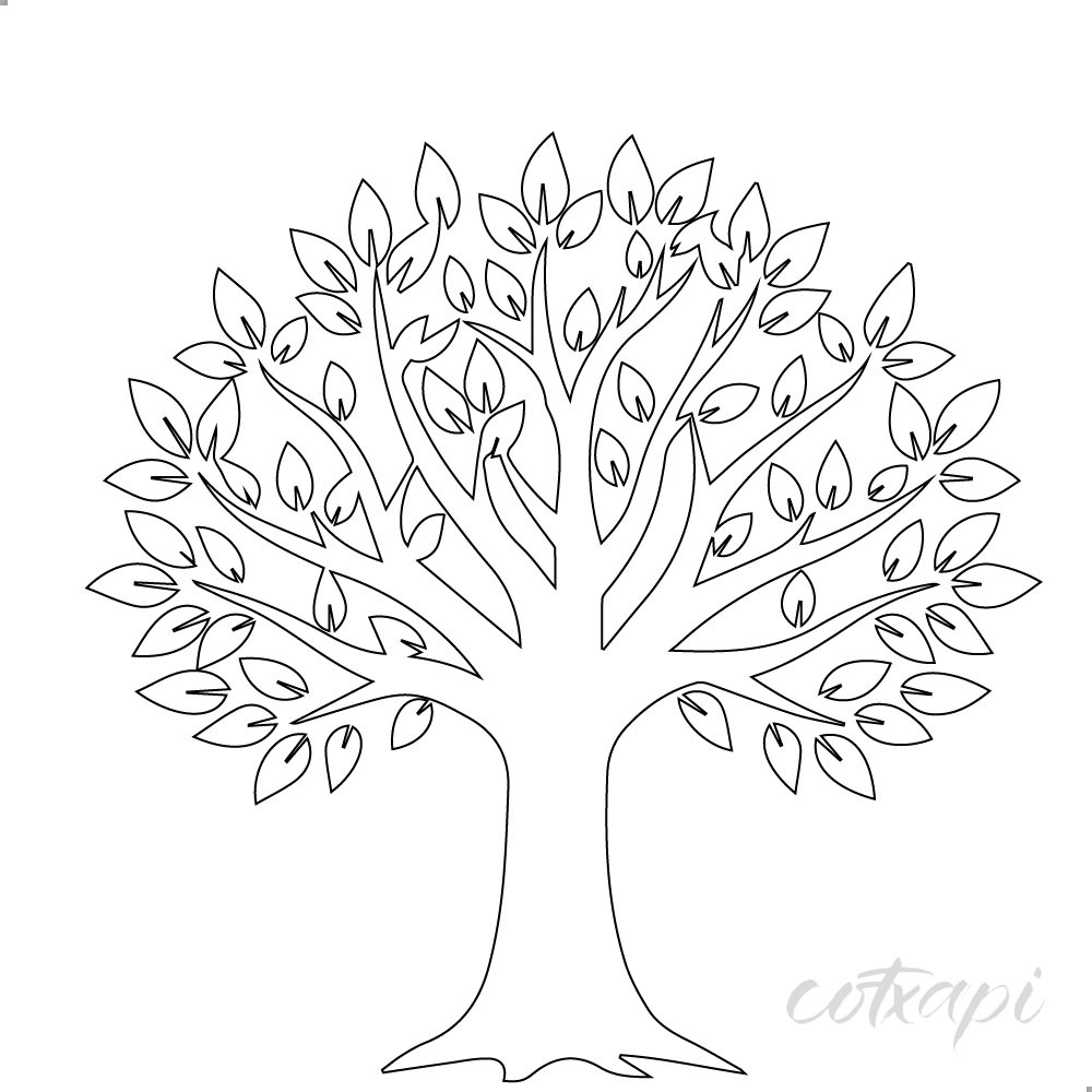 trees in vector art