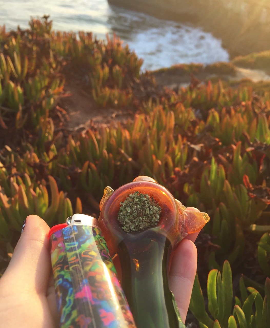 princessdabber: spontaneous trip to Santa Cruz, smoked on the cliffs and spotted