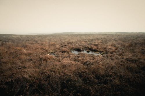 Traversing ScotlandPhotographed by Freddie Ardley - Instagram @freddieardley