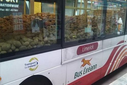 agentwoshington:  agentwoshington:  ok but there was a bus filled with potatoes driving around my town today   ????????????????????????????????????????????? 