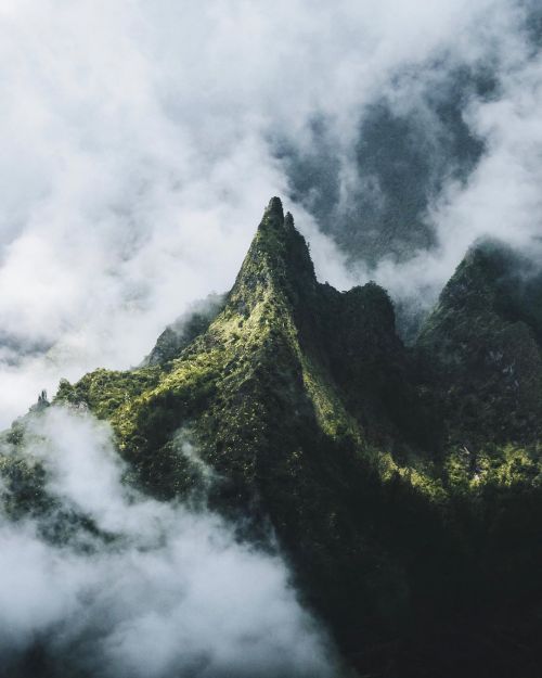 wanderthewood:Réunion Island, France by kuhrmarvin