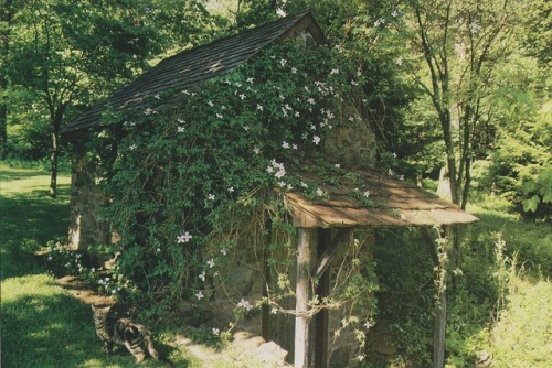vintagehomecollection: Outbuildings include this springhouse, with its antique red clay roof tiles. 