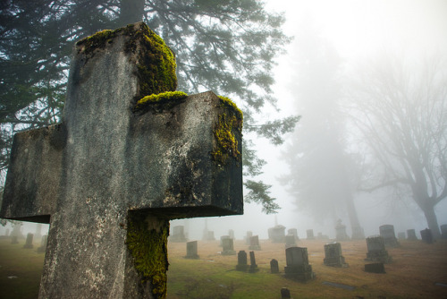 90377:Mt. Calvary Catholic Cemetery by PatrickInPDX on Flickr.