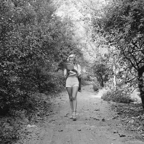 inthedarktrees:  Marilyn Monroe reading a script on a walk through Griffith ParkEdward Clark, Life, August 8, 1950