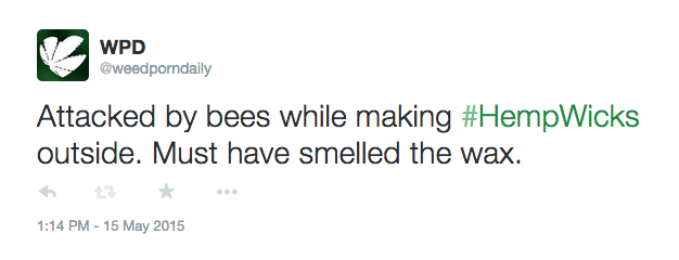weedporndaily:  Attacked by bees while making wicks, must have caught a whiff of