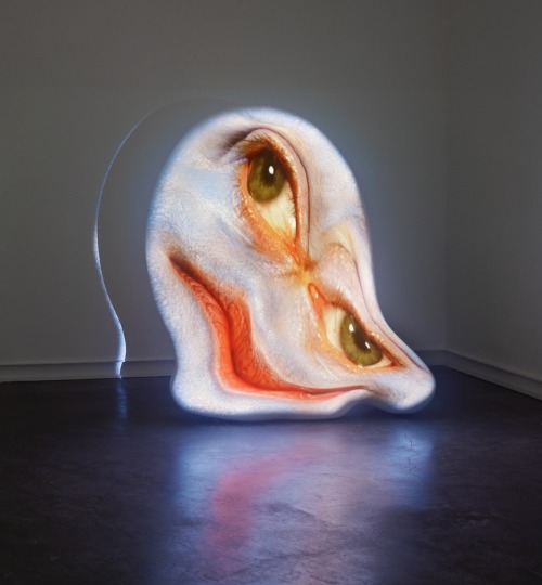 Tony Oursler (American, b. 1957, New York, USA) - Thaw, 2003  Installation: Fiberglass, Video Projec