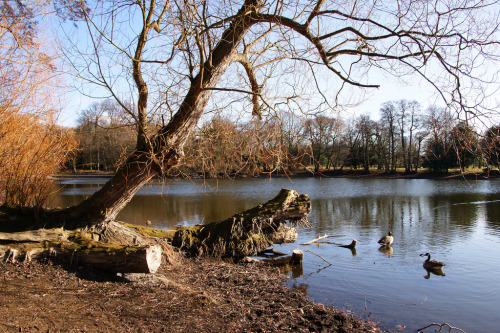 Belton House Lake (by Iron In The Blood)