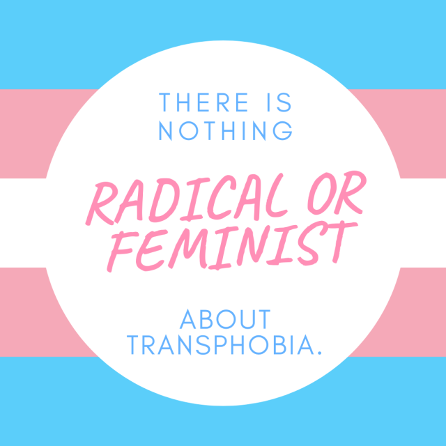 genderqueerpositivity:(Image description: a trans pride flag with a white circle in the center, blue and pink text inside the circle reads “There is nothing radical or feminist about transphobia.”) 