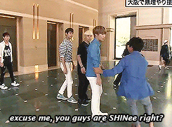 patriciank:  mintytaemin:  surprised SHINee on Music Edge  And the moral of the story is, you can ambush SHINee and take them on a bus ride, as long as you have a camera crew and feed them :D This is how they got on hello baby too. 