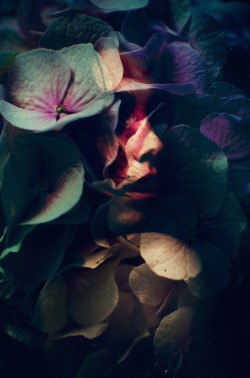 Asylum-Art:  Peetic Double Exposure Of Flowers By Lara Kiosses The Artist Lara Kiosses