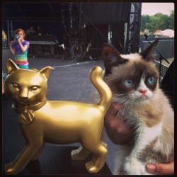 realgrumpycat:  #GrumpyCat wins the Golden Kitty at the 2013 Internet Cat Video Festival! #CatVidFest 
