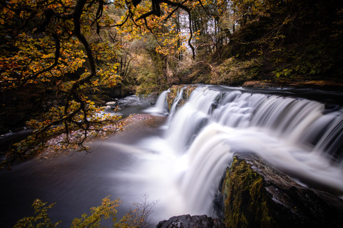 Autumn at Sgwd Y Pannwr​Brecon Beacons National Park