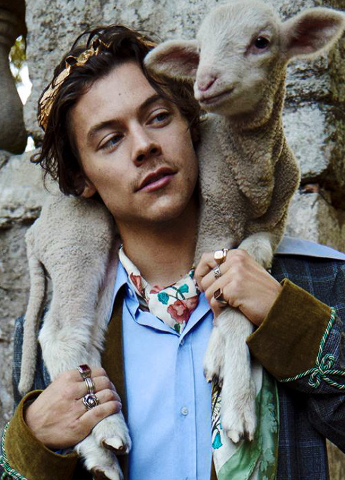 sstyles:HARRY STYLESphotographed by Glen Luchford for Gucci’s Cruise 2019 Tailoring Campaign